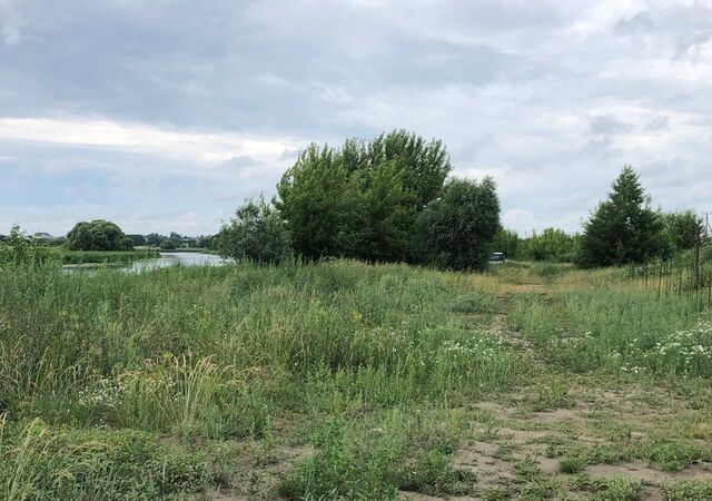 п Заречье Береговая ул, Тамбовский муниципальный округ, Донское фото