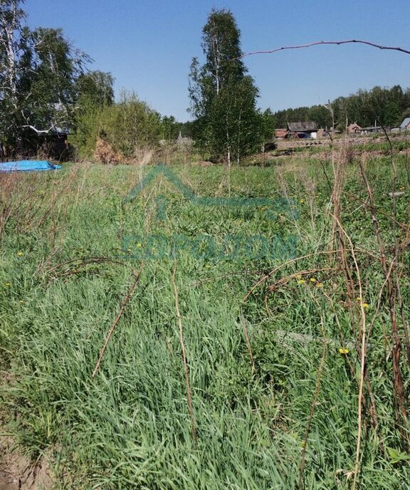 земля г Новосибирск р-н Калининский Заельцовская садовое товарищество Олимпийское фото 13