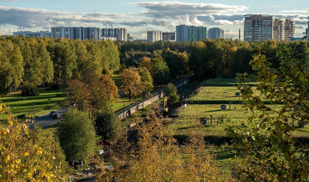 квартира г Санкт-Петербург метро Академическая ул Фаворского 18 фото 22