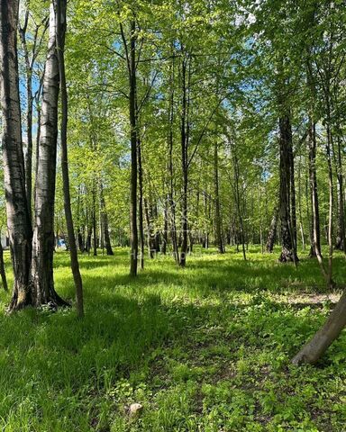 9728 км, ДНП Дальние Вёшки, Москва, направление Ярославское (северо-<текст-удален>, Осташковское шоссе фото