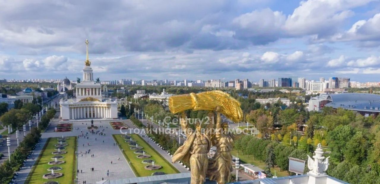 квартира г Москва метро Ростокино пр-кт Мира 222/2 квартал «МИРАПОЛИС» муниципальный округ Ярославский фото 33