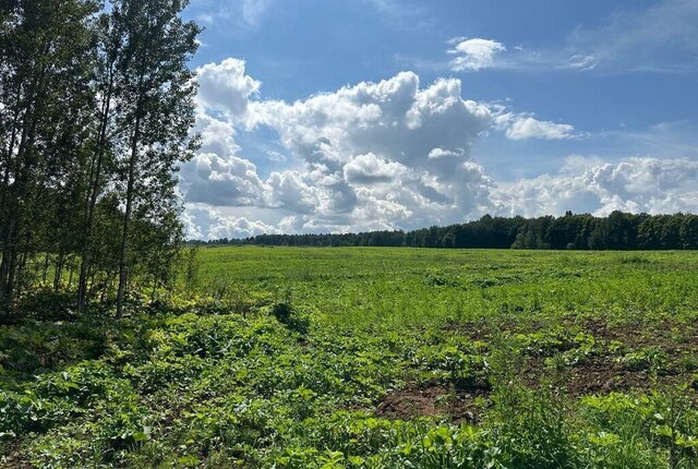 городской округ Клин фото