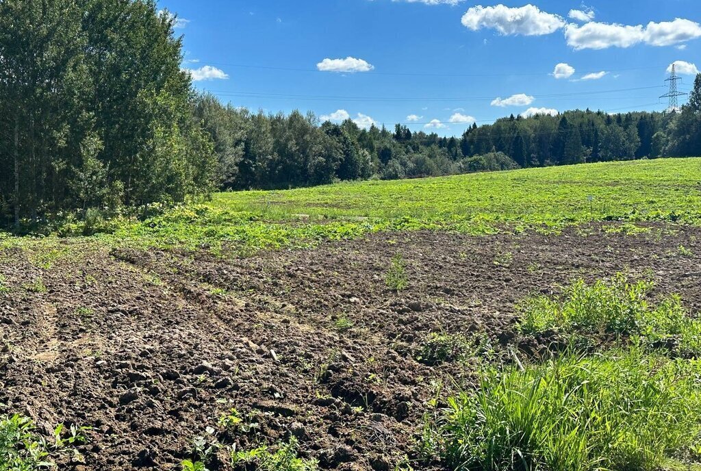 земля городской округ Дмитровский коттеджный поселок «Сорочаны» городской округ Клин фото 6