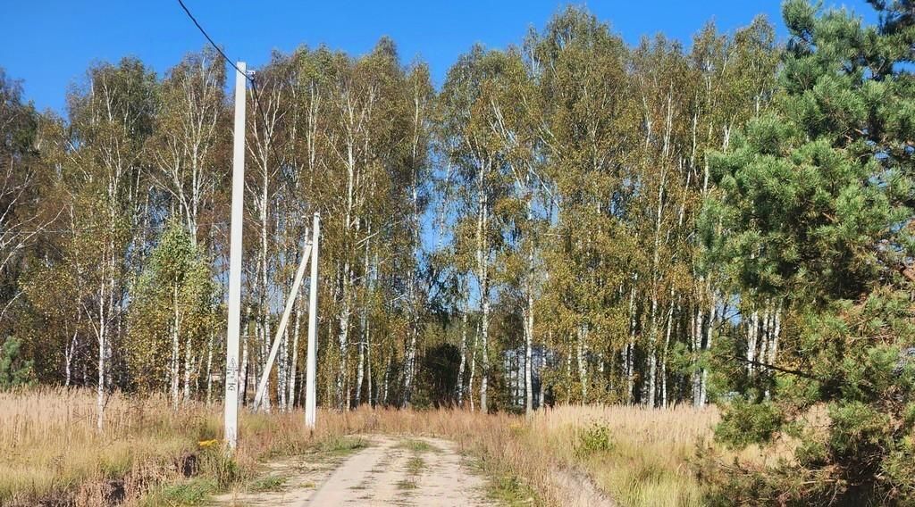 земля р-н Киржачский д Дворищи Першинское муниципальное образование фото 12