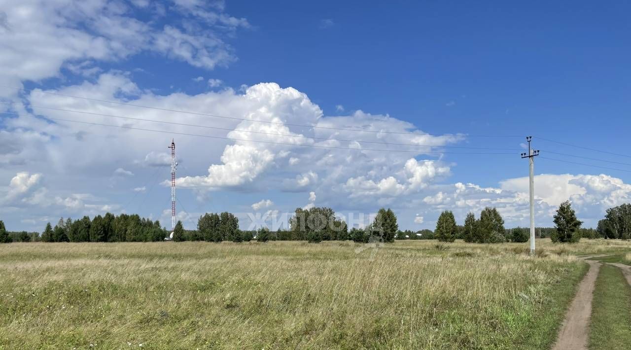 земля р-н Ордынский рп Ордынское снт Виктория фото 5