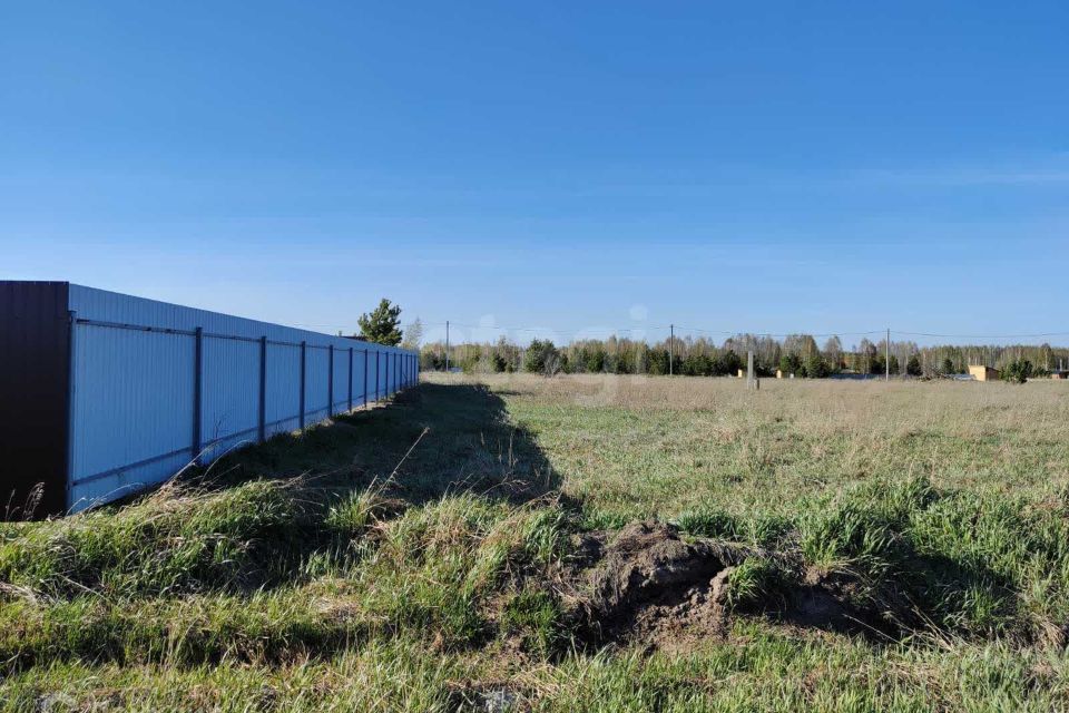 земля г Тюмень городской округ Тюмень, садоводческое некоммерческое товарищество Берёзка фото 1