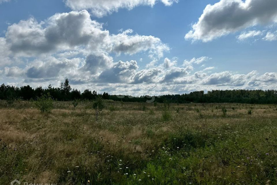 земля г Екатеринбург р-н Чкаловский Екатеринбург городской округ, Чкаловский фото 3