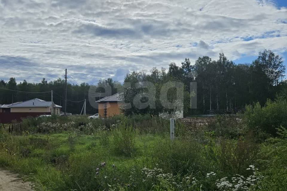 земля р-н Тюменский с Перевалово ул Проселочная Переваловское сельское поселение фото 6