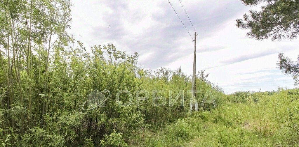 земля г Тюмень р-н Центральный снт Автомобилист фото 12