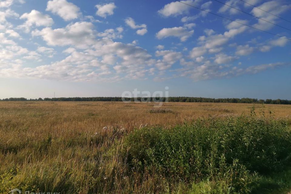 земля р-н Байкаловский деревня Сергина фото 2