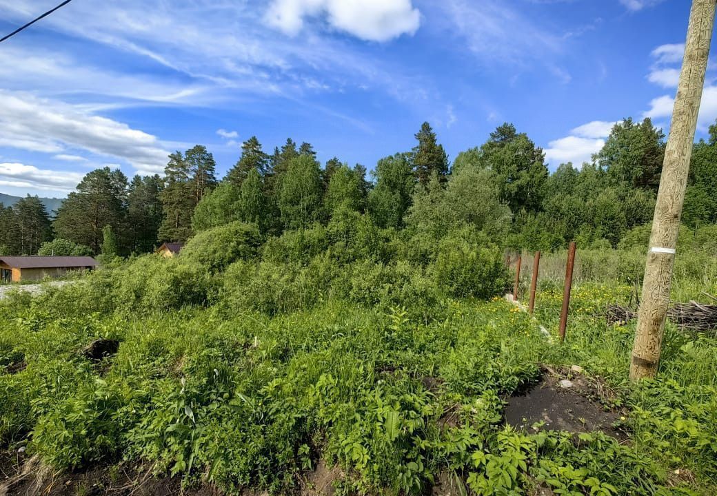 земля р-н Майминский с Озерное ул Центральная Горно-Алтайск фото 8