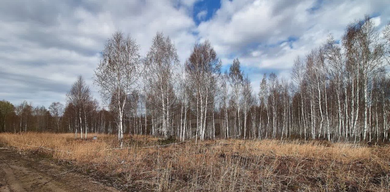 земля р-н Тюменский ТСН Приозерное ул Солнечная СПК фото 9