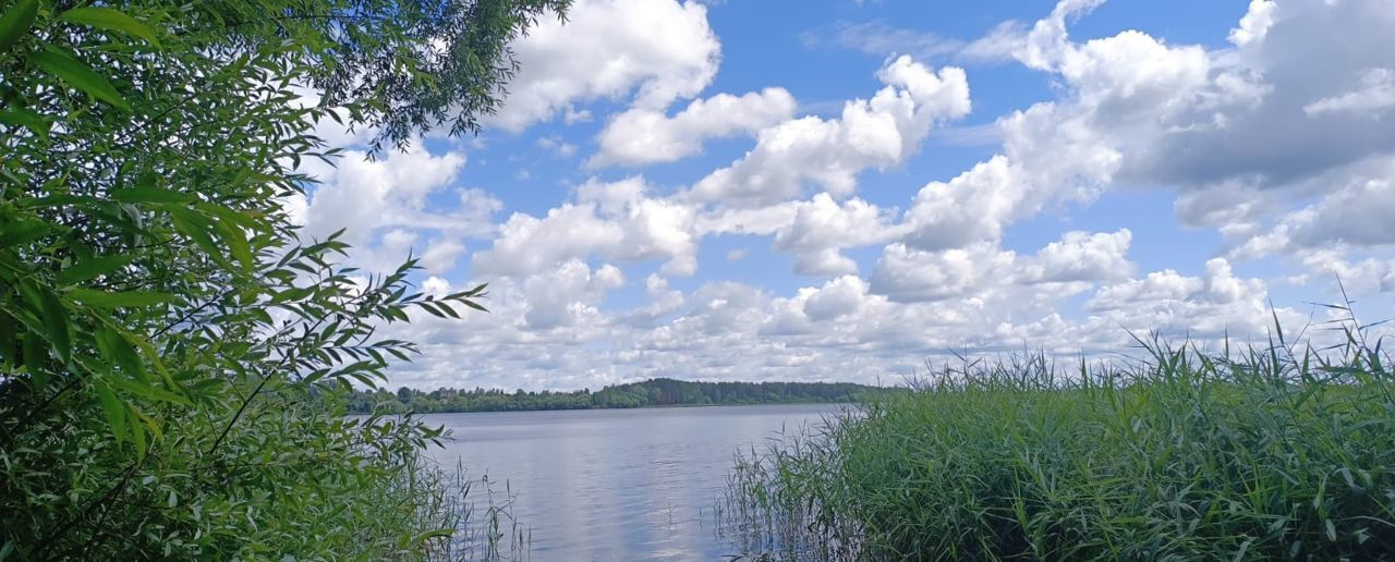 земля городской округ Истра д Лыщёво 49 км, Солнечногорск, Ленинградское шоссе фото 1