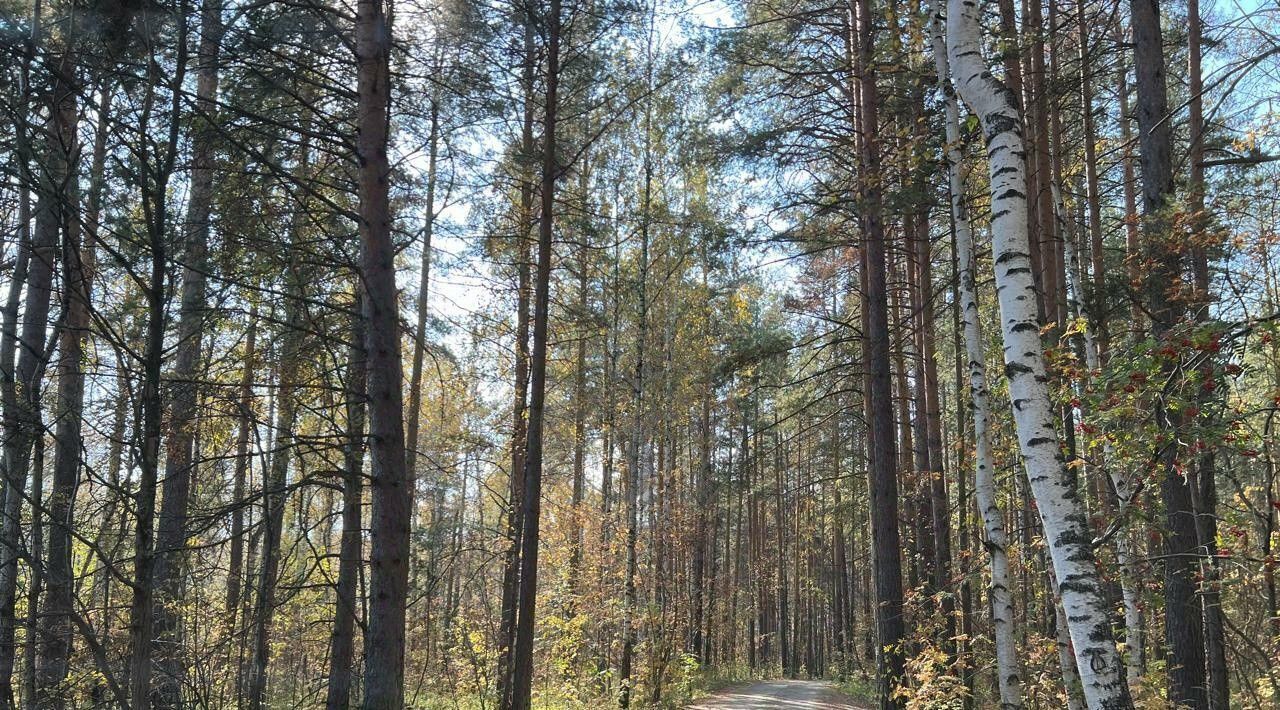 дом г Екатеринбург Геологическая снт Ягодка Широкореченского Торфопредприятия КС, 54 фото 33