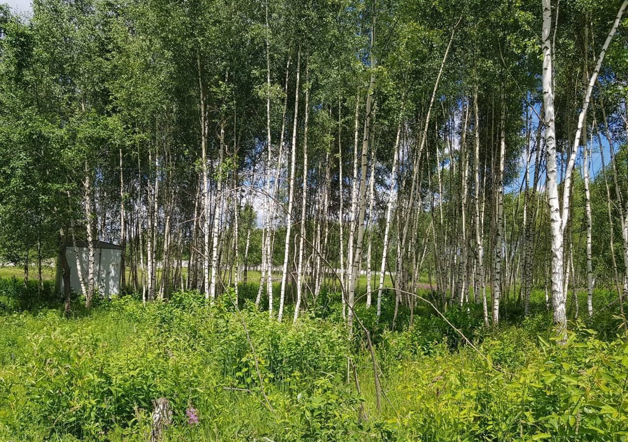 земля городской округ Дмитровский д Драчево 9768 км, Дмитров, Дмитровское шоссе фото 36