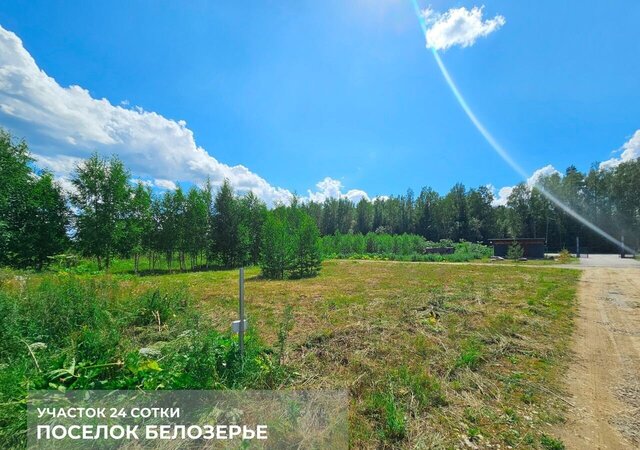 Московское шоссе, 57 км, Любанское городское поселение, товарищество собственников недвижимости Белозерье фото