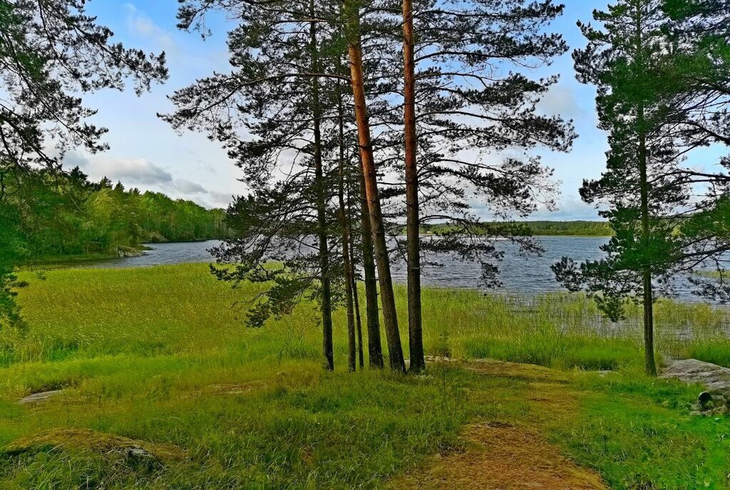 земля г Сортавала п Ниэмелянхови Сортавальский муниципальный округ фото 4