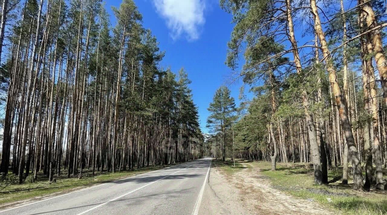 дом городской округ Раменский д Бояркино снт Ежик Ипподром фото 16