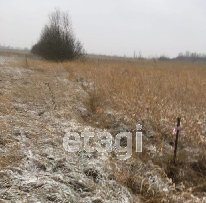 земля р-н Новгородский д Большое Подсонье 17А, Борковское с пос фото 6