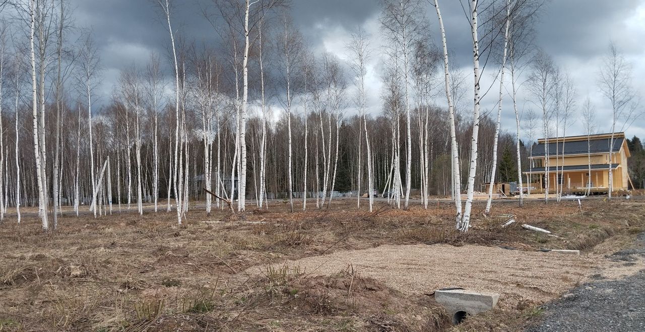 земля городской округ Дмитровский п Новое Гришино 9756 км, Деденево, Дмитровское шоссе фото 28