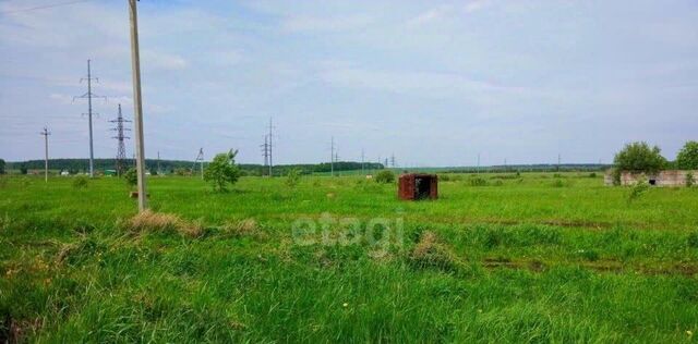 ул Листопадная Елизаветинское с/пос фото