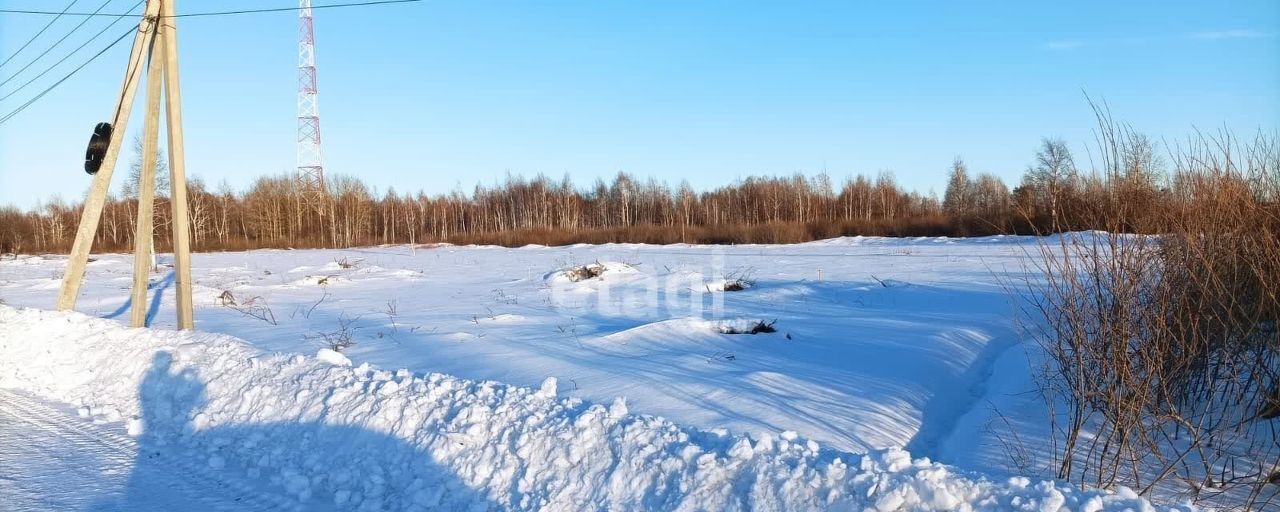 земля р-н Ярковский с Ярково Ярковское сельское поселение фото 6