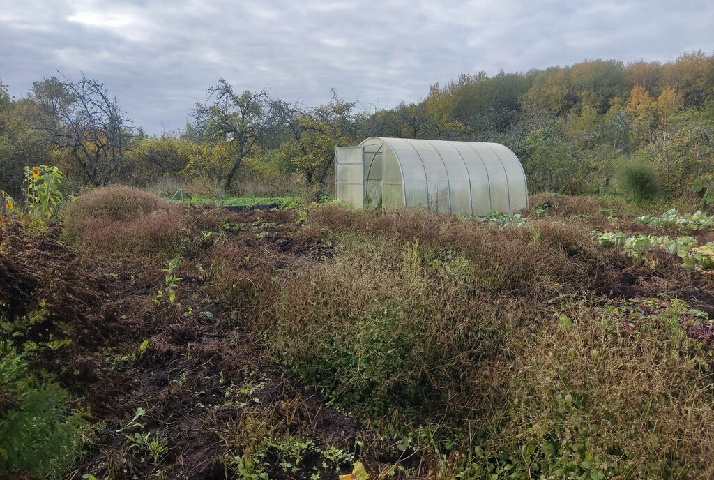 земля р-н Новгородский д Борки Борковское сельское поселение фото 3