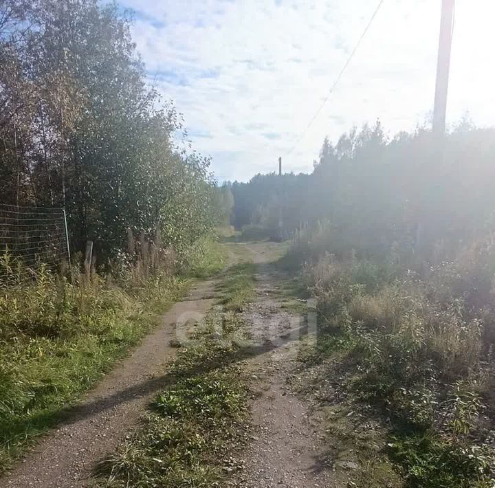 земля р-н Гурьевский п Бугрино снт Отважное ул Магистральная фото 5