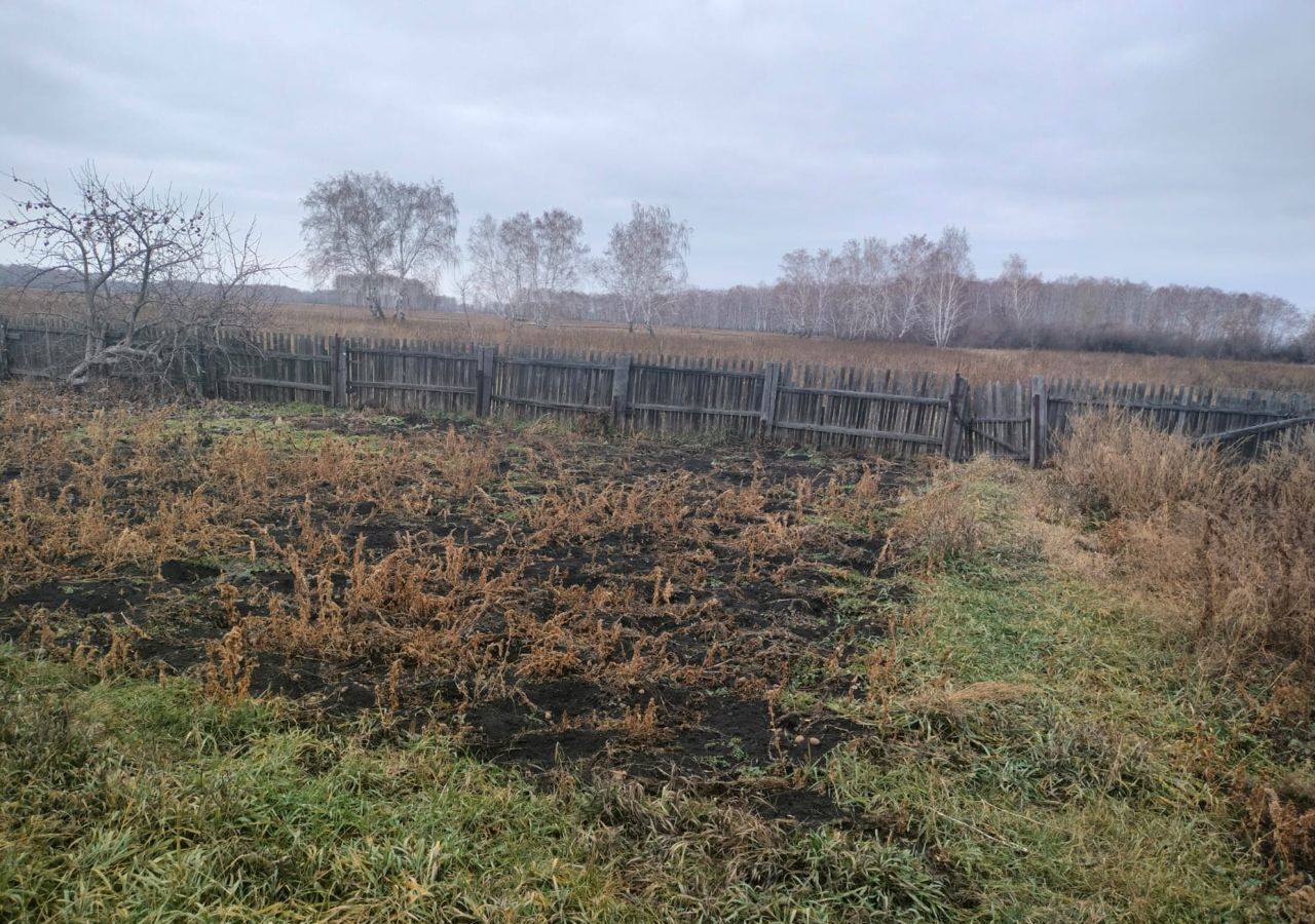 дом р-н Азовский немецкий национальный д Ягодное ул А.Дебуса Азовский р-н, Азовское сельское поселение, Азово фото 24