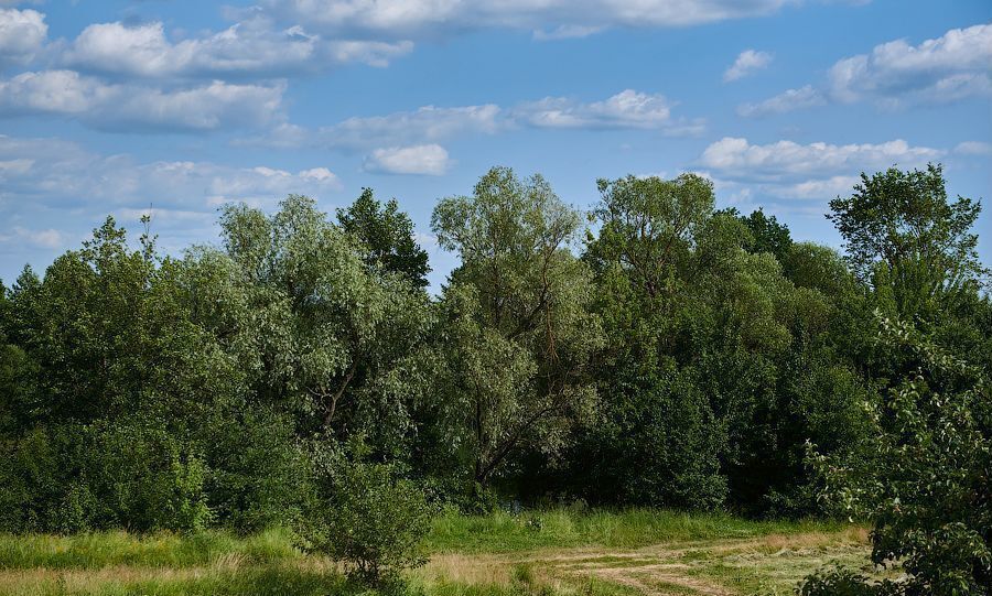 квартира р-н Рамонский рп Рамонь ул Победы 17е Рамонское городское поселение фото 15