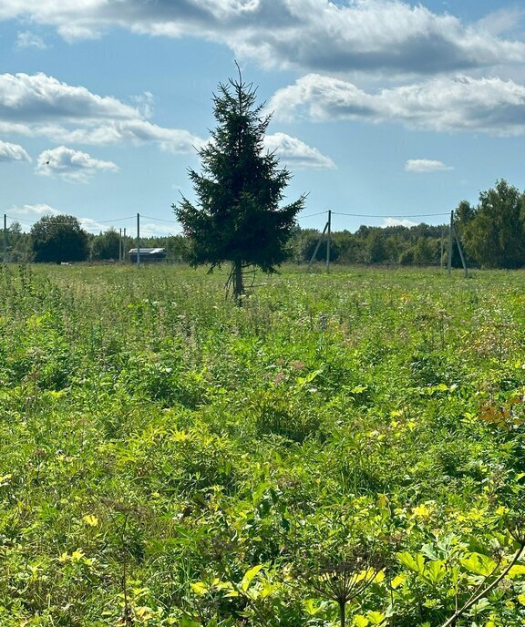 земля городской округ Клин д Вертково фото 27