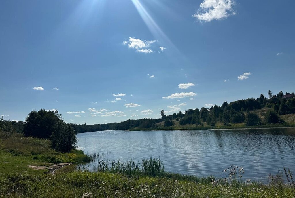 земля городской округ Клин д Вертково фото 29