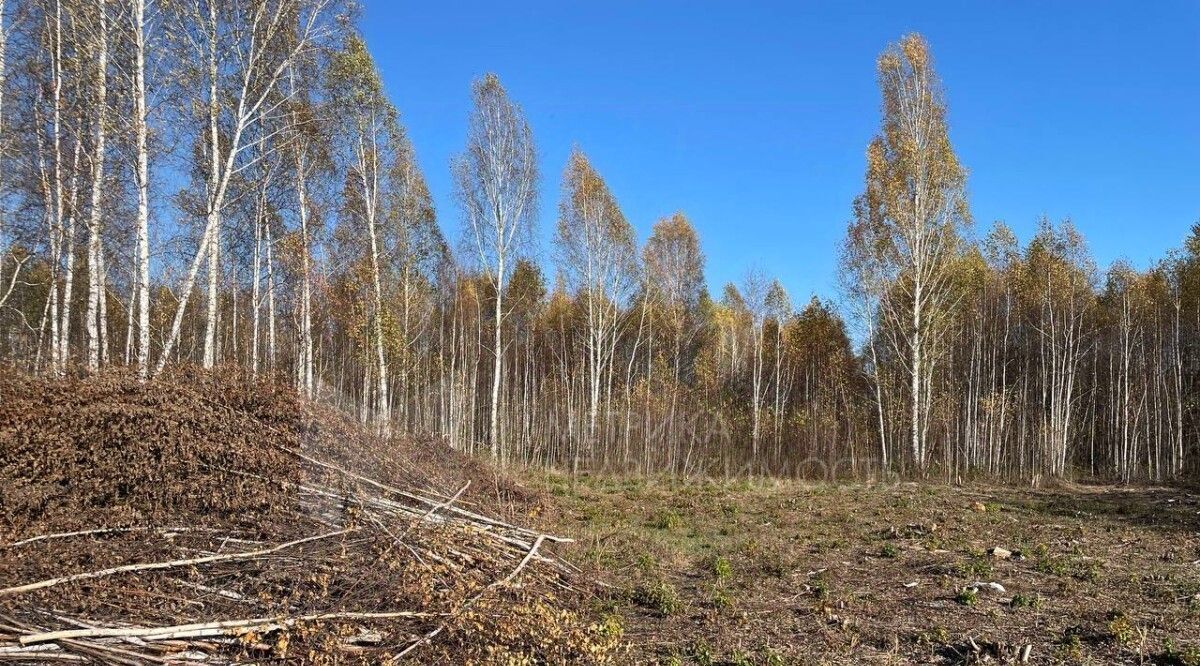 земля р-н Нижнетавдинский снт Моторостроитель ул Абрикосовая фото 3