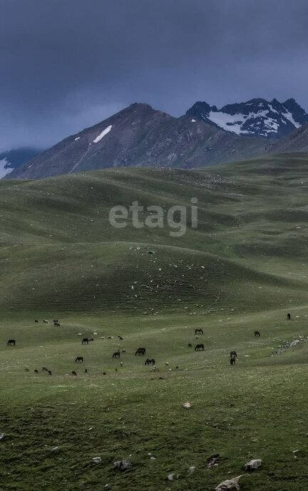 земля р-н Алагирский п Верхний Фиагдон Фиагдонское сельское поселение фото 3