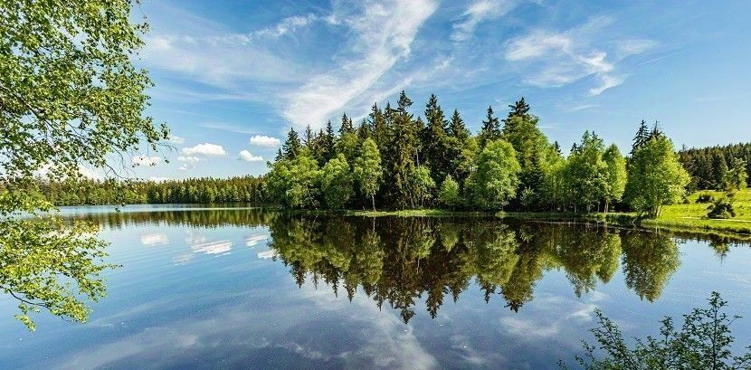 земля городской округ Ступино д Шелково фото 20