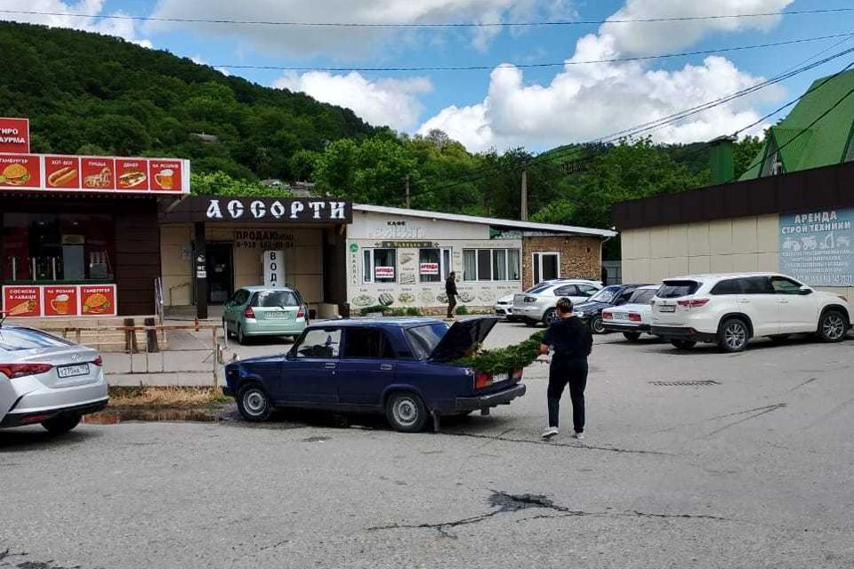 дом р-н Крымский ст-ца Нижнебаканская ул Октябрьская 5б Нижнебаканское сельское поселение фото 3