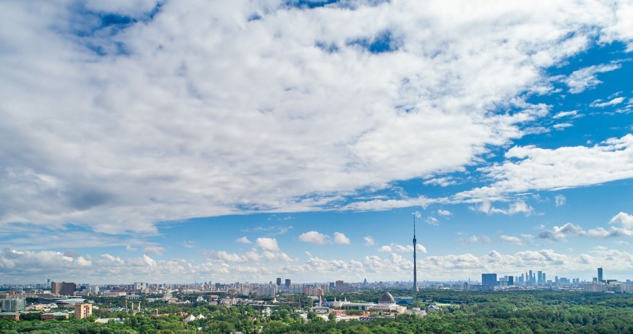 квартира г Москва аллея Берёзовая 19к/1 Ботанический сад фото 13