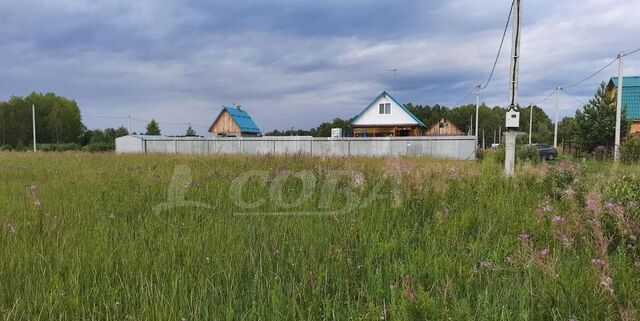 земля с Княжево Богандинский фото