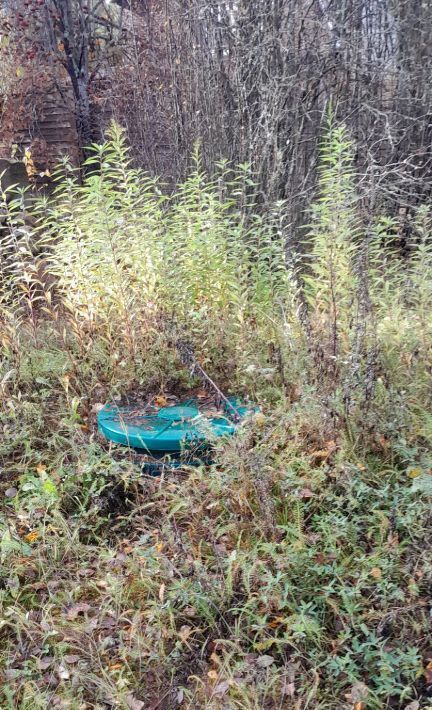 земля р-н Лужский Толмачево городской поселок, ул. Смоляная, 26 фото 16