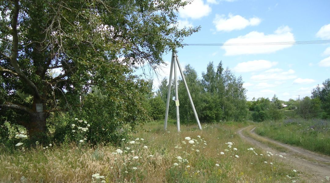 земля р-н Ленинский п Шатск Тула фото 6