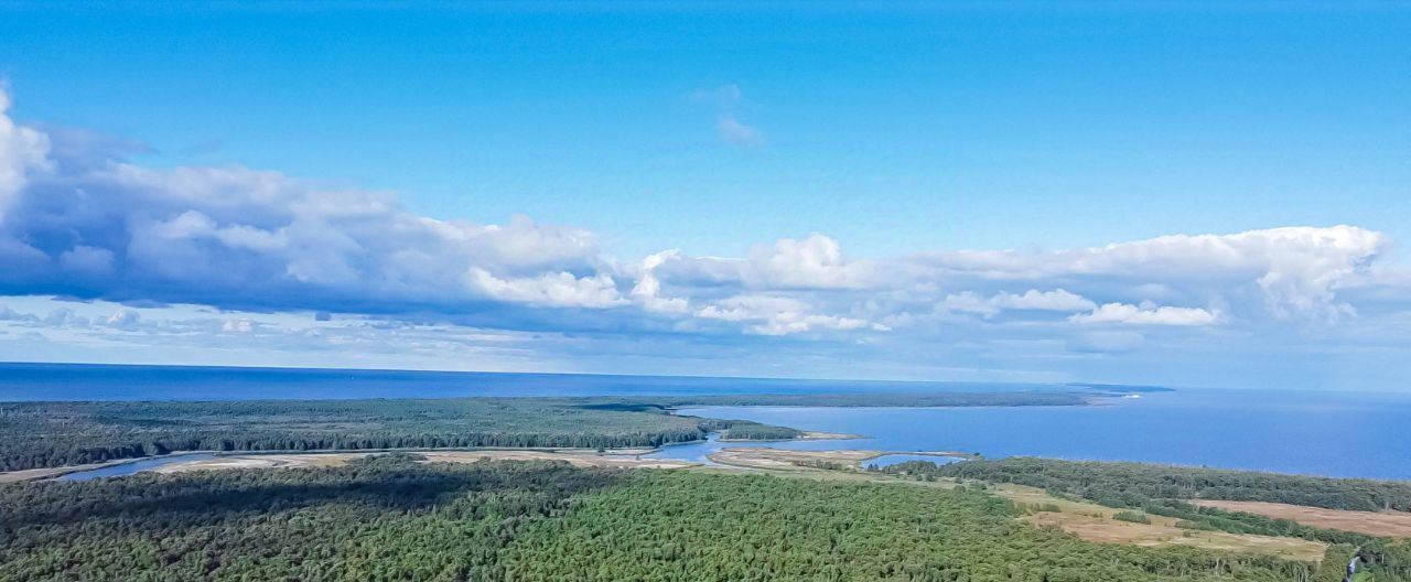 земля р-н Зеленоградский г Зеленоградск п Сосновка фото 10