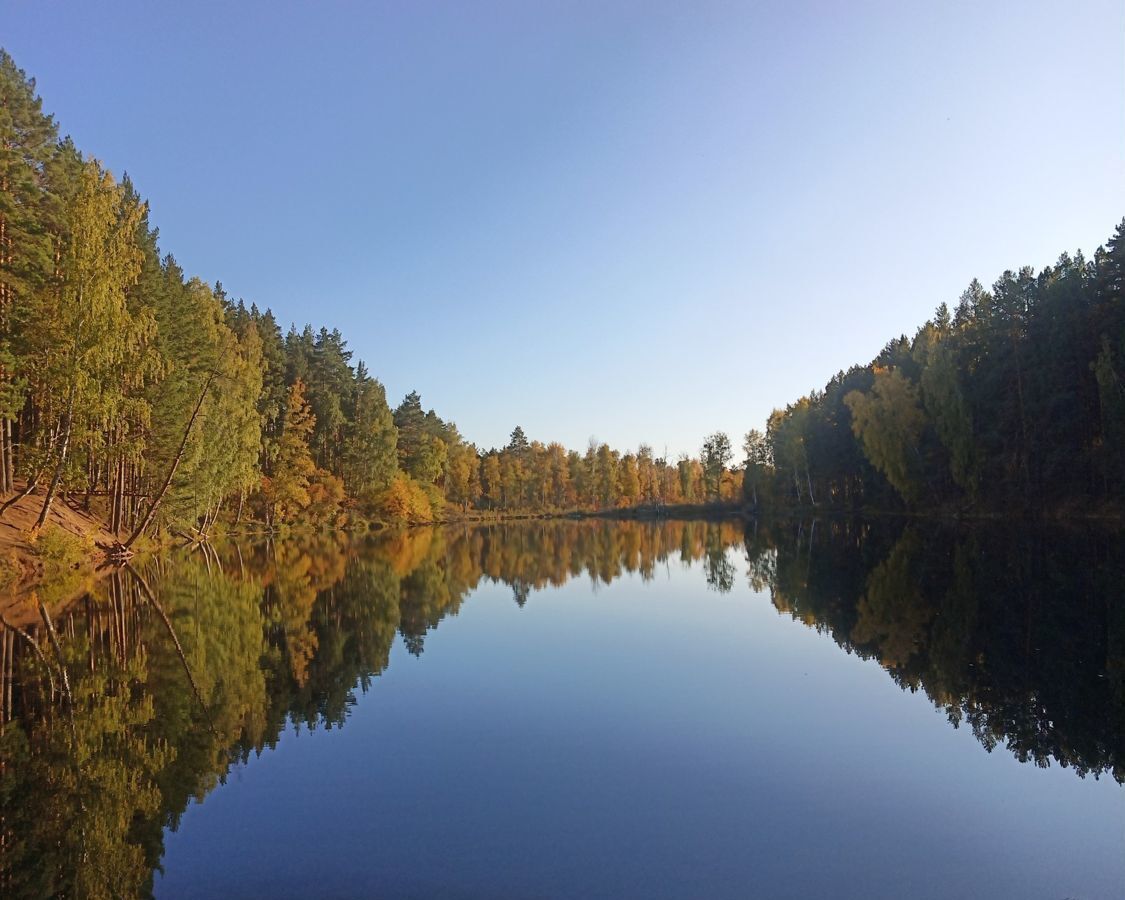 земля р-н Сысертский с Абрамово Щелкун фото 1