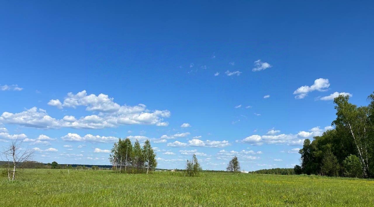 земля городской округ Серпухов д Гавшино фото 25