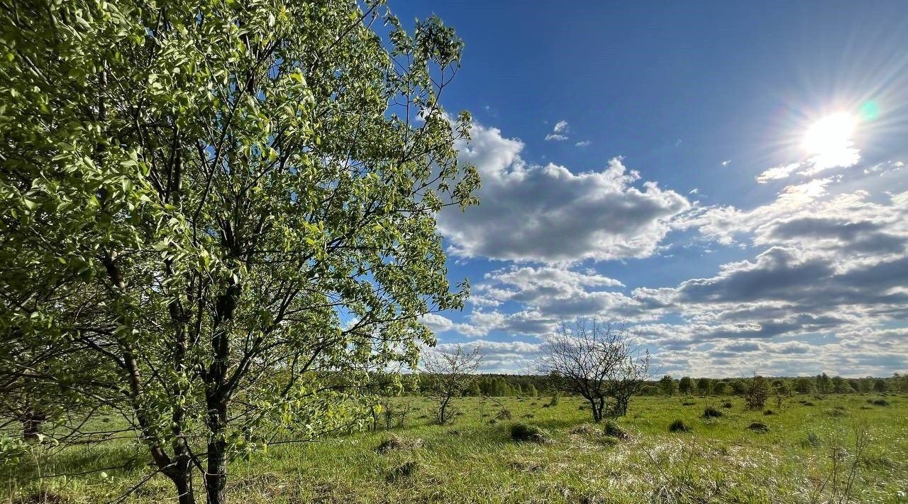 земля городской округ Серпухов д Акулово фото 25