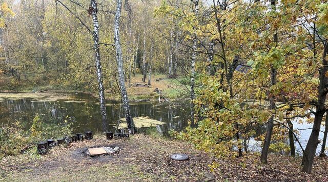 п Александровка ул Запрудная Подольск фото