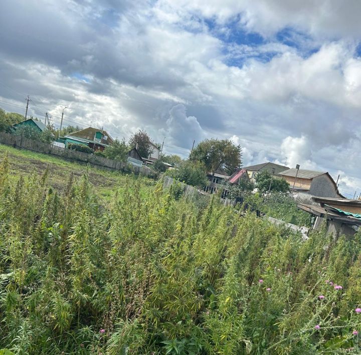 дом г Омск р-н Советский Николаевка ул Загородная 175а фото 24