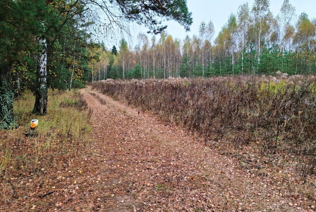 земля р-н Киржачский д Старово муниципальное образование Першинское фото 1