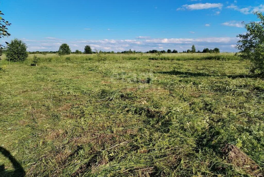 земля р-н Шекснинский рп Шексна ул Солнечная фото 8