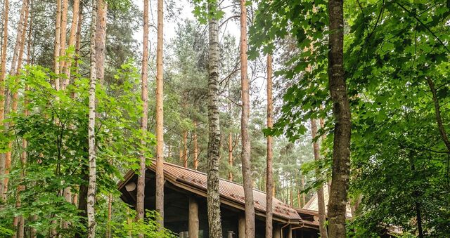 д Комлево Заозерный кп, Совхоз Боровский с пос фото д Комлево Заозерный кп, Совхоз Боровский с пос фото