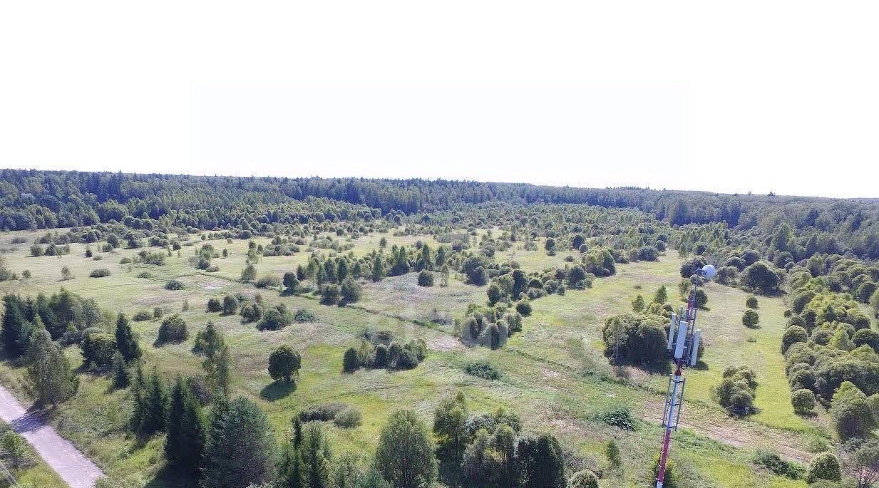 земля р-н Боровский д Каверино с пос, Совьяки фото 10